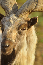 Similar image 21911092