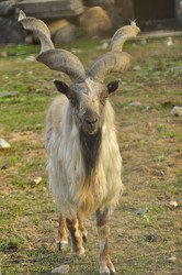 Similar image 21911093