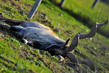 Similar image 21911096