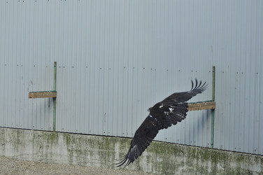 Similar image 21911097