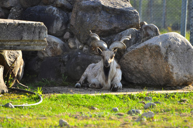 Similar image 21911098