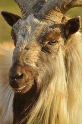 Similar image 21911099