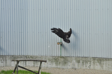 Similar image 21911100