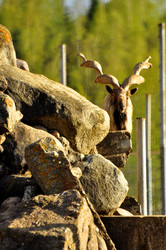 Similar image 21911101