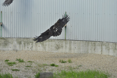 Similar image 21911102