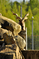 Similar image 21911103