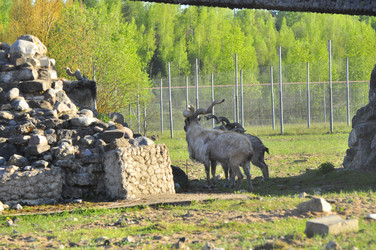 Similar image 21911104