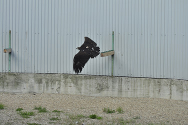 Similar image 21911105