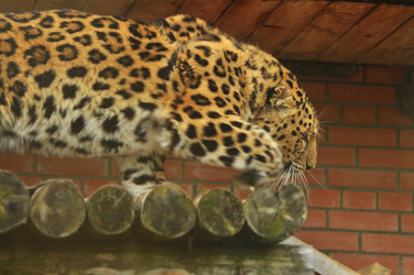 Similar image 21911106