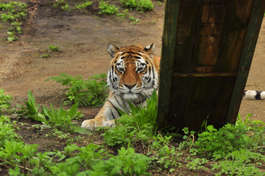 Similar image 21911384