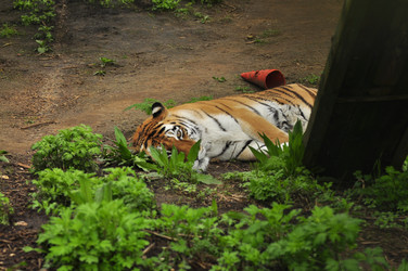 Similar image 21911107