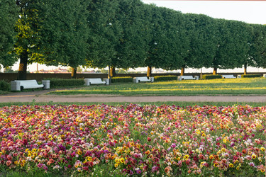 Similar image 21911117