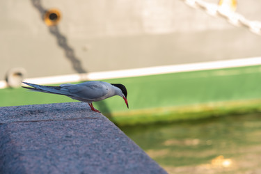 Similar image 21911119