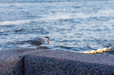 Similar image 21911120