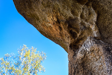 Similar image 21907563