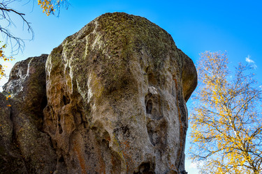 Similar image 21907565