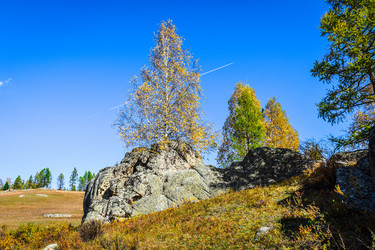 Similar image 21907569