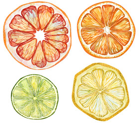 Similar image 21909596