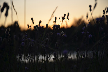 Similar image 21908150