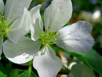 Similar image 21910959