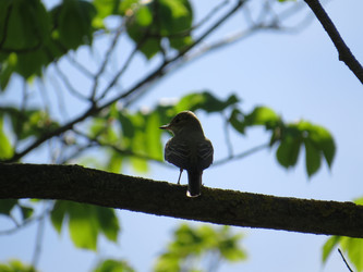 Similar image 21910960