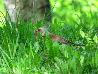 Similar image 21910962