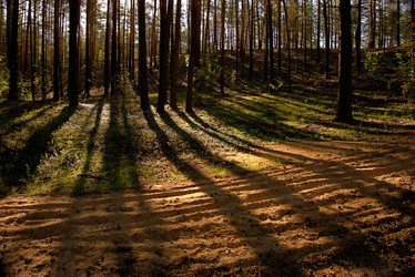 Similar image 21910966