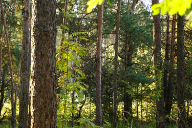 Similar image 21910967