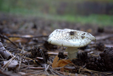 Similar image 21910968