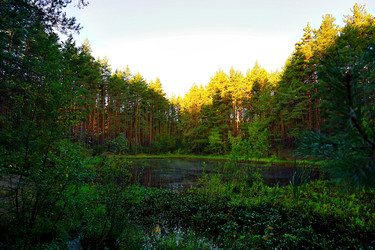 Similar image 21910969