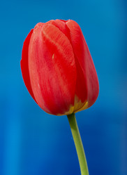 Similar image 21910970