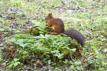 Similar image 21907588