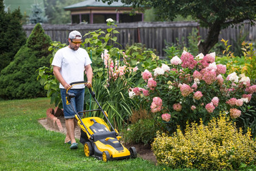 Similar image 21909431