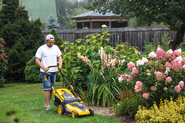 Similar image 21909432