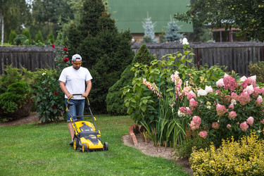 Similar image 21909434