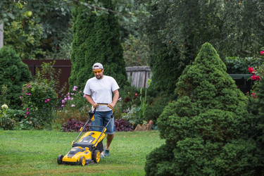 Similar image 21909436