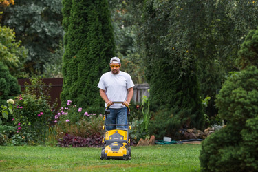 Similar image 21909437