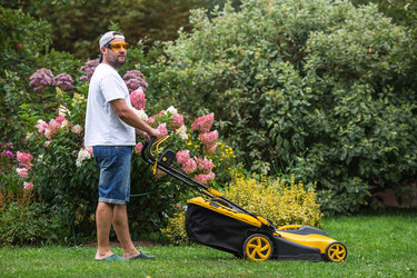 Similar image 21909452