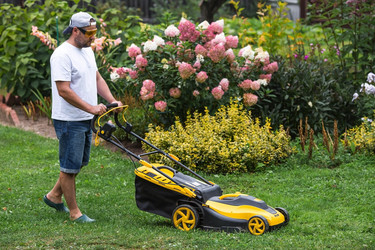 Similar image 21909454