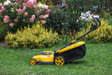 Similar image 21909455