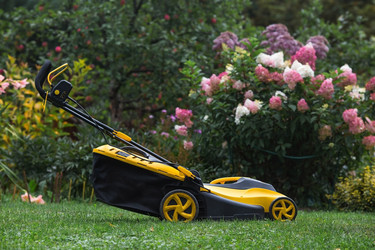 Similar image 21909458