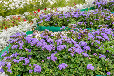 Similar image 21908154