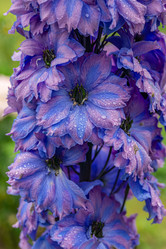 Similar image 21908155