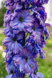 Similar image 21908156