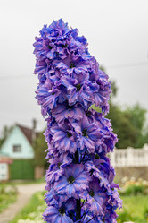 Similar image 21908157