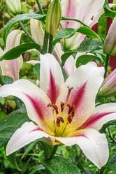 Similar image 21908160