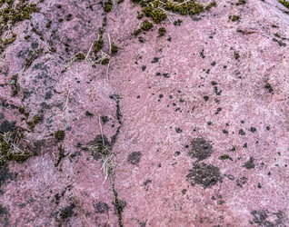 Similar image 21908216