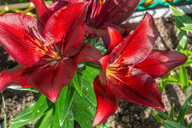 Similar image 21908740