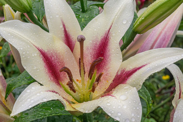 Similar image 21908745