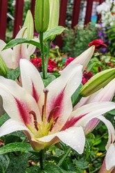 Similar image 21908746